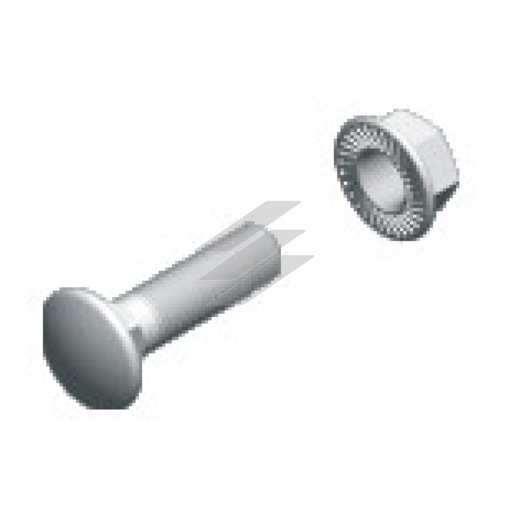 Болт з напівкруглою головкою + гайка самостопорні з фланцем (комплект) SGKM6x20, BAKS