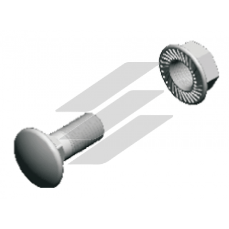 Болт з грибовидною головкою + зубчаста гайка  (комплект) SGKFM6x12, BAKS