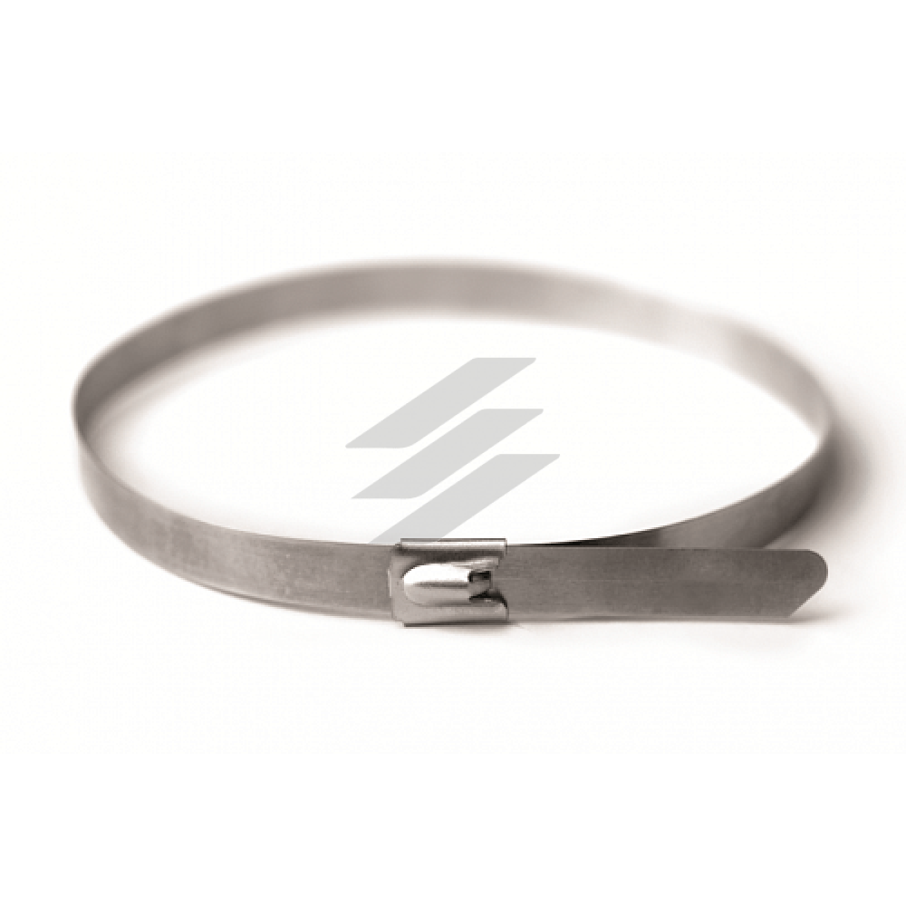 Хомут з нержавіючої сталі AISI 304 4, 6х300, ДКС