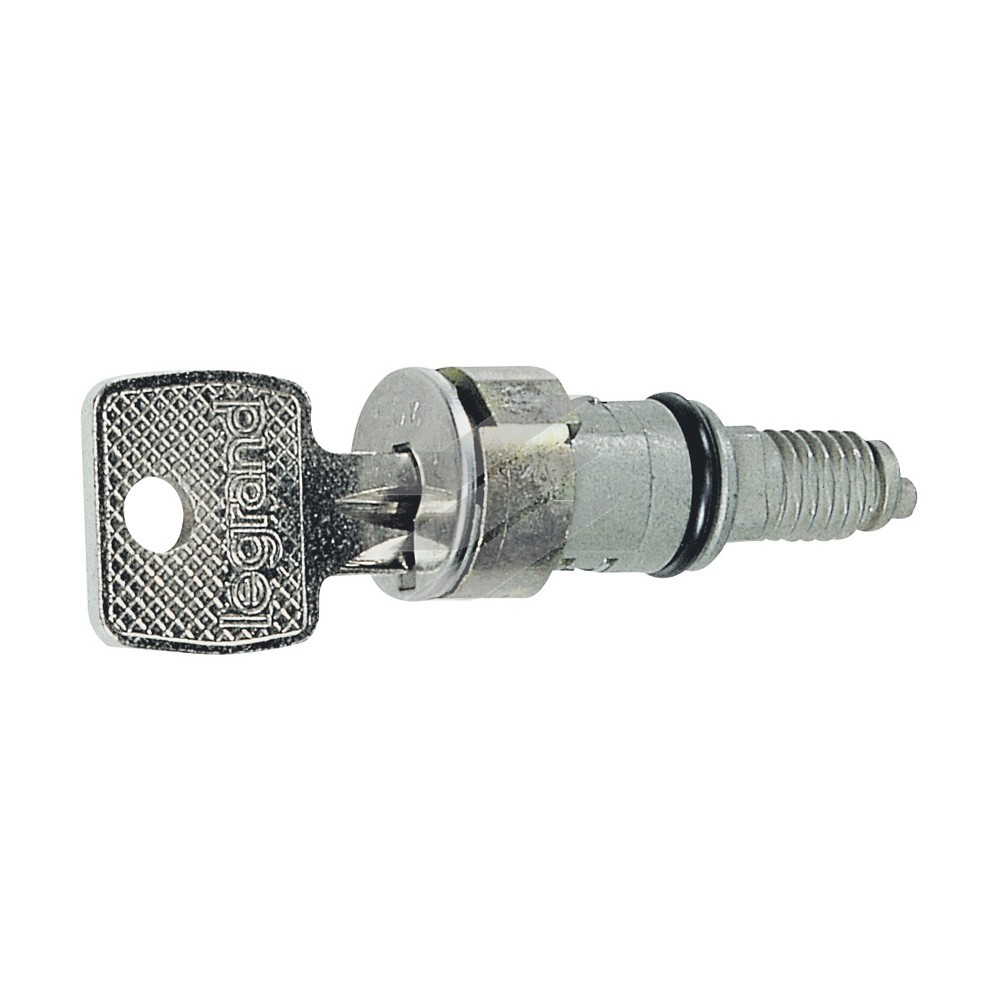 Циліндрична вставка з ключем №421, Legrand