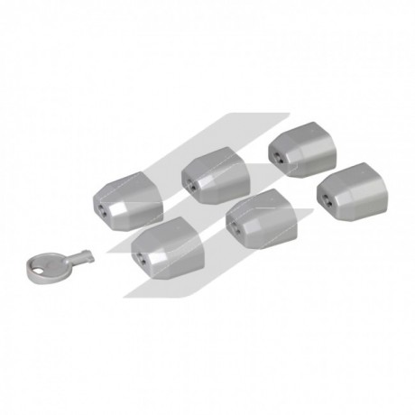 Набір з 6 шт блокувальних заглушок для блоків розподілу живлення (PDU) -С13 стандарт плюс ключ, Legrand