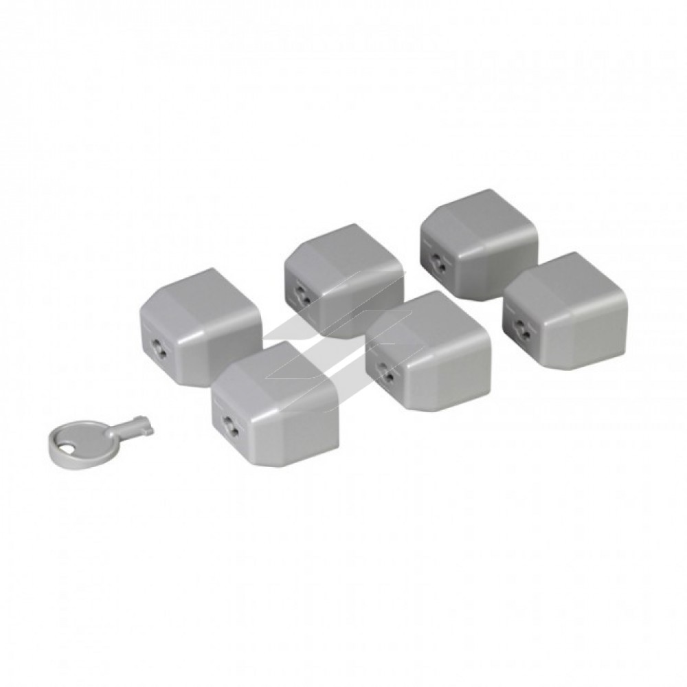 Набір з 6 шт блокувальних заглушок для блоків розподілу живлення (PDU) -С19 стандарт плюс ключ, Legrand