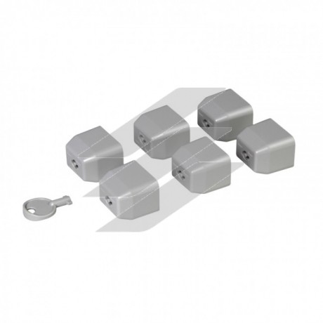 Набір з 6 шт блокувальних заглушок для блоків розподілу живлення (PDU) -С19 стандарт плюс ключ, Legrand