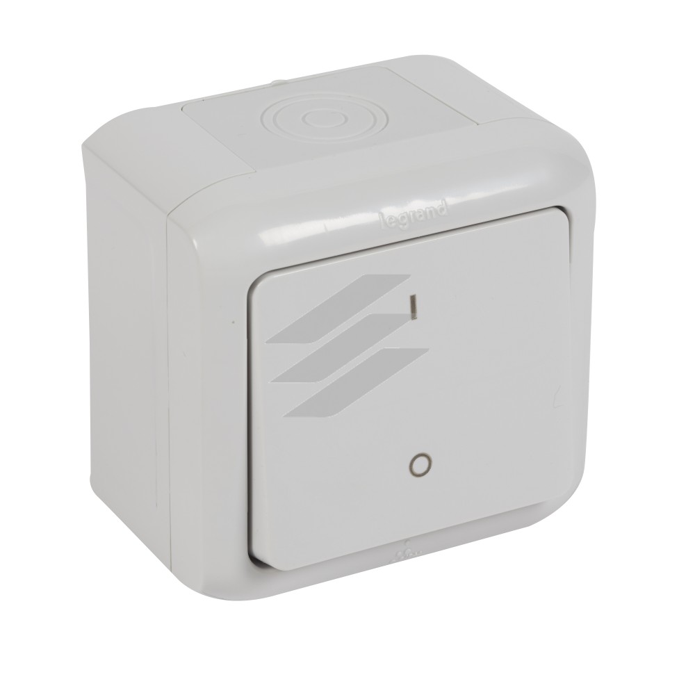Вимикач Forix двохполюсний IP44, Сірий, Legrand