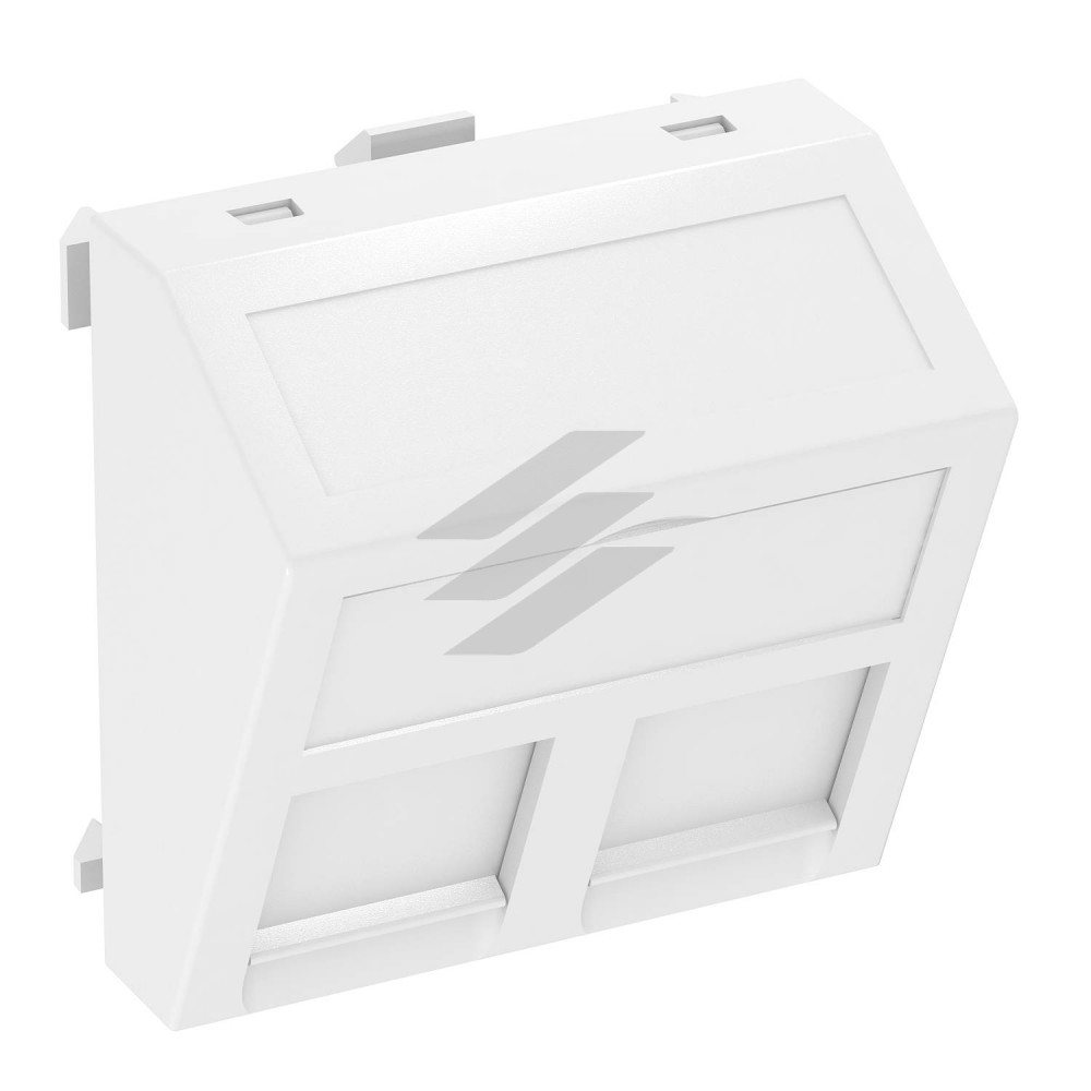 Інформ. панель кутова 45х45, 2 RJ45 R&M: Cat. 5 and Cat. 6, пуста / біла (Тип: DTS-2RM RW1), OBO Bettermann Інформ. панель кутова 45х45, 2 RJ45 R&M: Cat. 5 and Cat. 6, пуста / біла (Тип: DTS-2RM RW1), OBO Bettermann