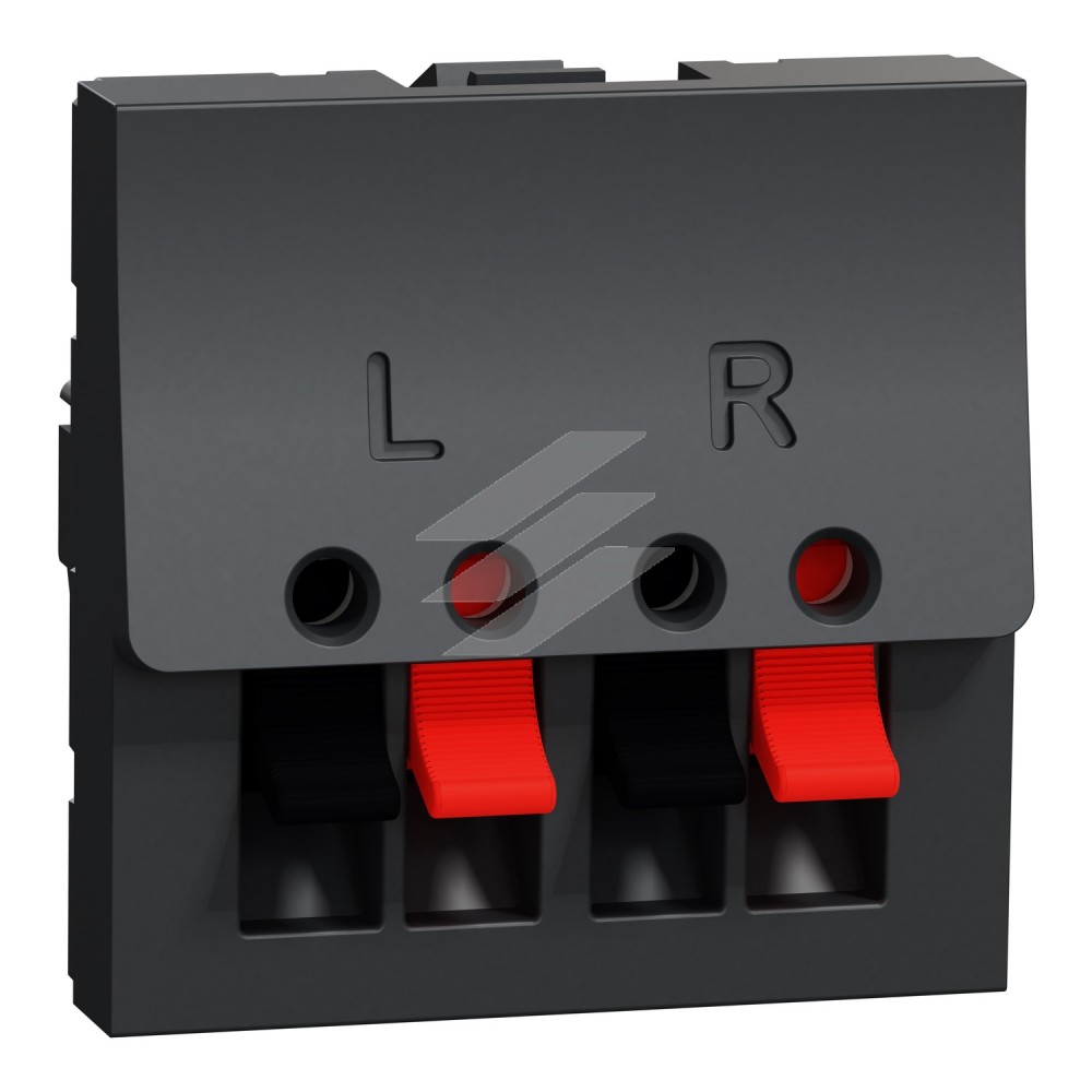 Аудіорозетка, на два виходи, 2м. Графіт, Schneider Electric