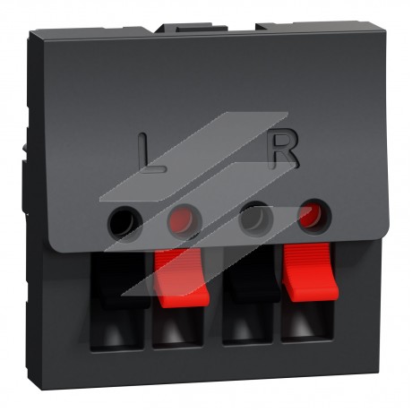 Аудіорозетка, на два виходи, 2м. Графіт, Schneider Electric