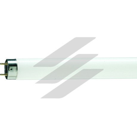 Люмінесцентна лампа TL-D 30W/54-765 1SL/25, Philips