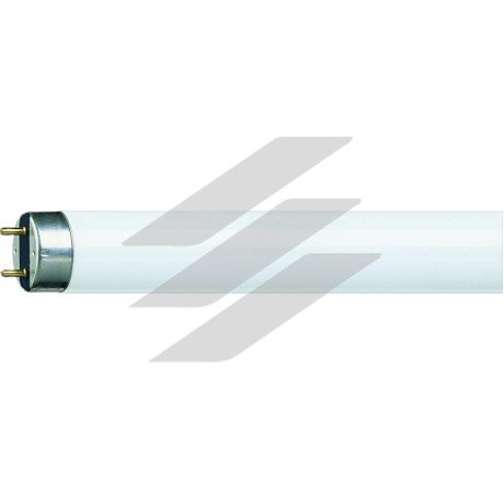 Люмінесцентна лампа TL-D MASTER Super 80 58W/865 1SL/25, Philips