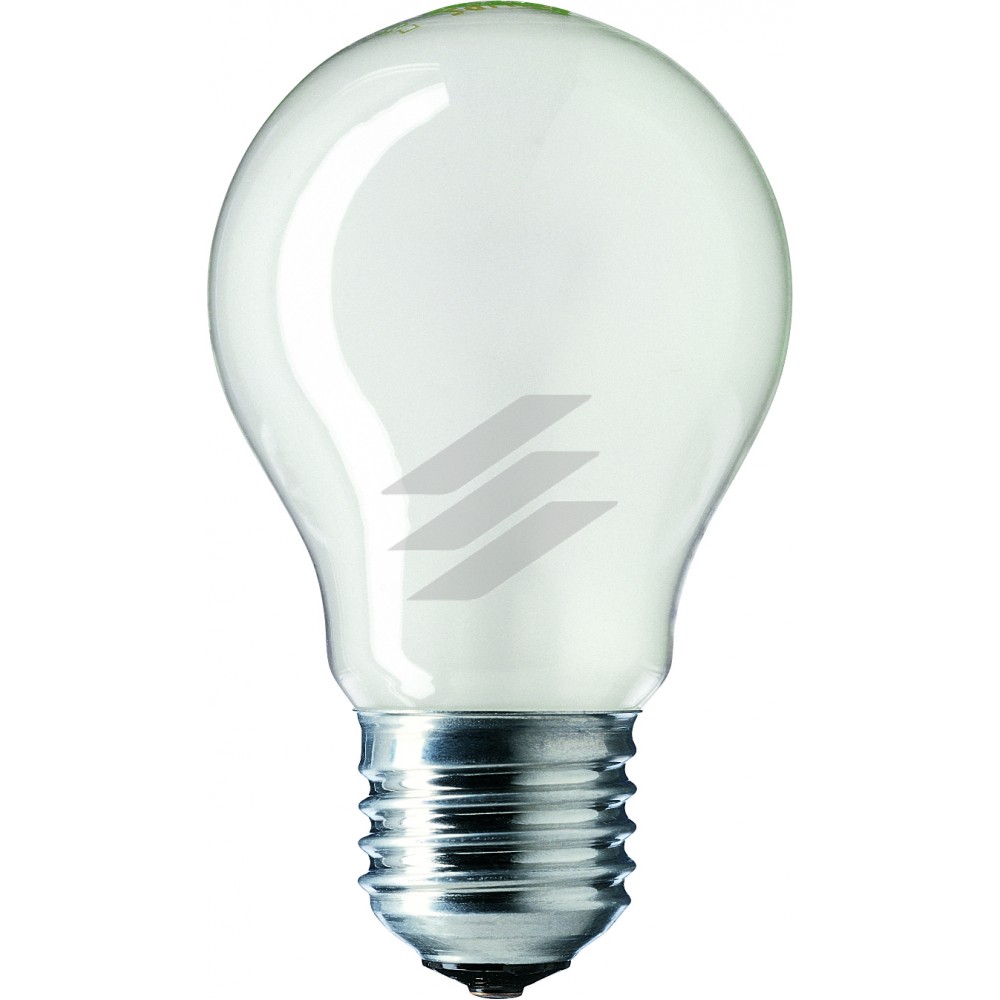 Лампа розжарювання (форма T/A/E) Stan 60W E27 230V A55 FR 1CT/12X10F, Philips