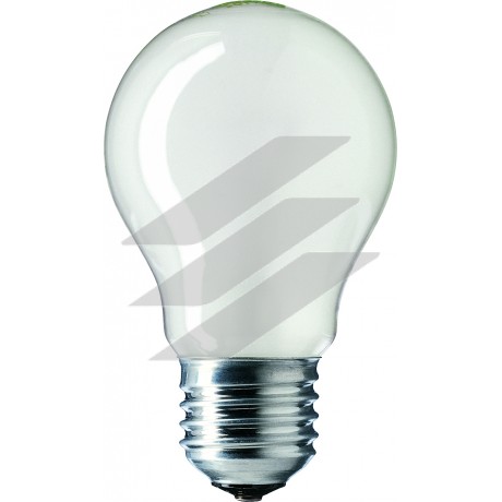 Лампа розжарювання (форма T/A/E) Stan 60W E27 230V A55 FR 1CT/12X10F, Philips