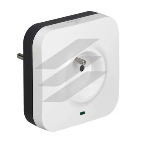 Розетка 2P+PE французького стандарту та 2хRJ45 з ПЗІП, Legrand