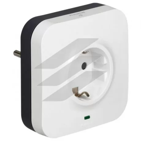 Розетка 2P+PE та 2хRJ45 з ПЗІП, Legrand