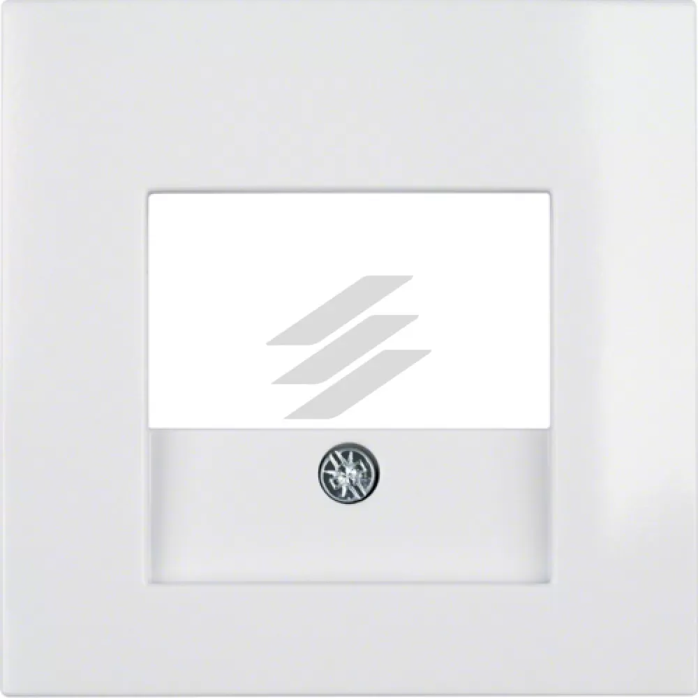 Накладка для розеток для гучномовців, USB-розеток, полярна білизна S.1, Hager