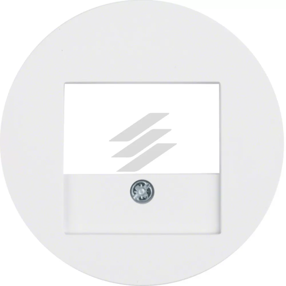 Накладка для розеток для гучномовців, USB-розеток, полярна білизна, R.х, Hager