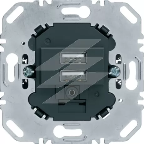 USB-розетка подвійна, 230В, антрацит, Hager