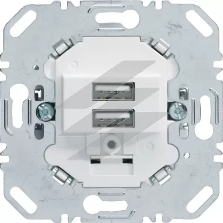 USB-розетка подвійна, 230В, полярна білизна, Hager