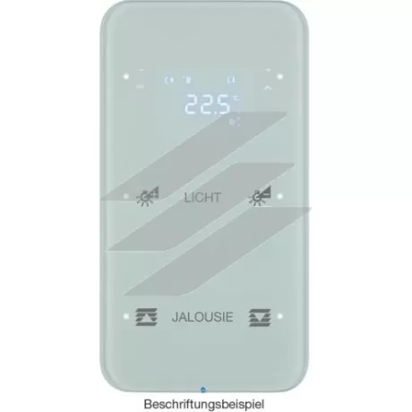Сенсор 2-кан з регулюванням температури, конфігуруємий, п.білизна, TS Sensor R.1, Hager
