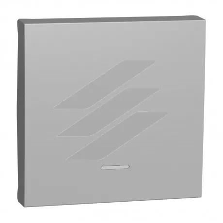 Клавіша для вимикача, 2 модулі, алюміній, Schneider Electric